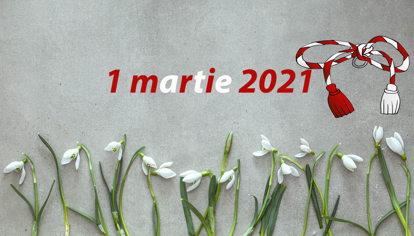 ministerul educatiei