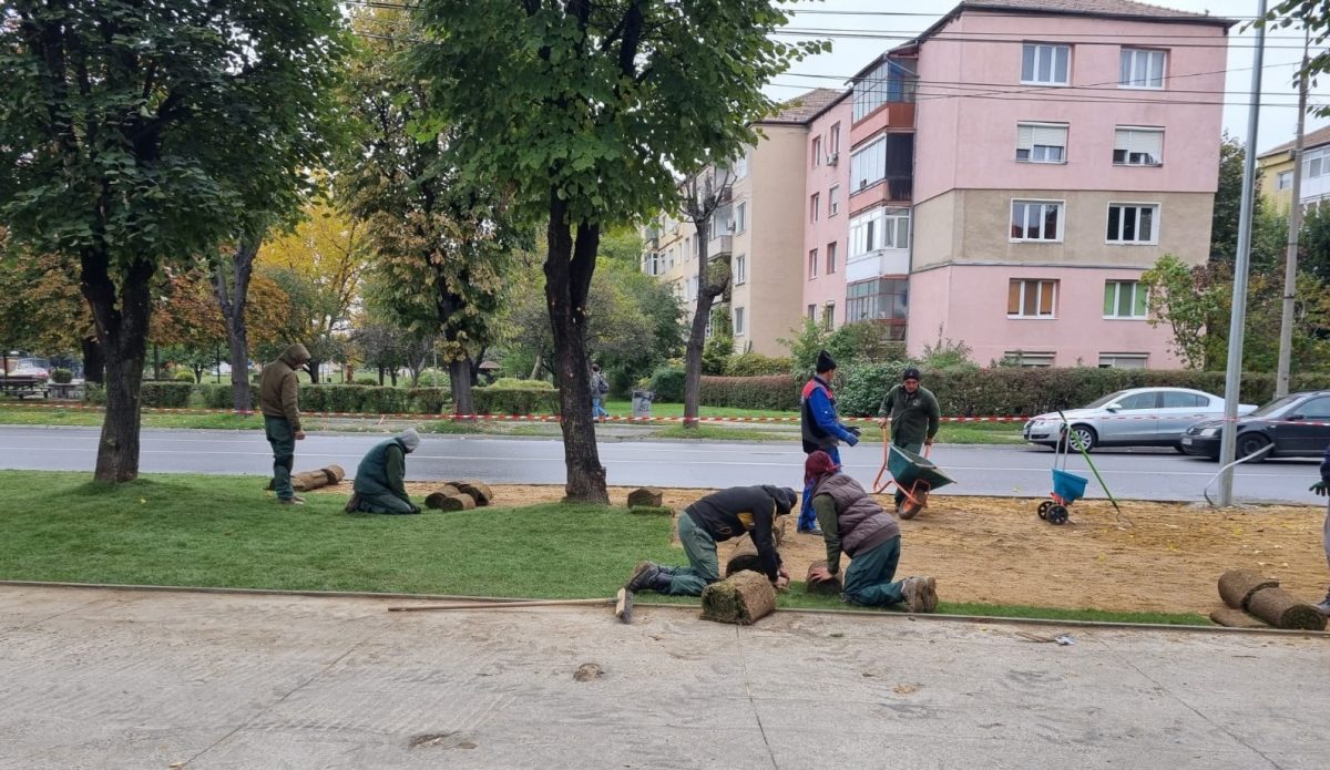 regulamentul