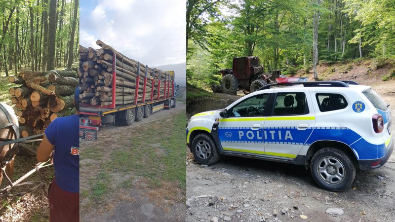 politistii