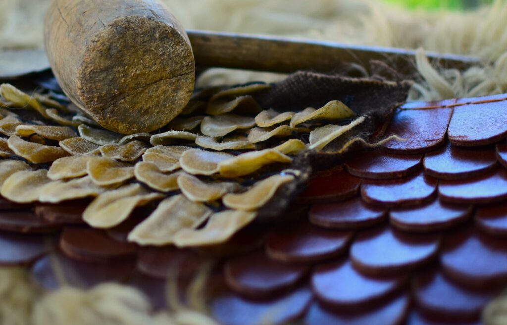 cASTRA Barbarorum revine! - FOTO cASTRA Barbarorum revine! - FOTO