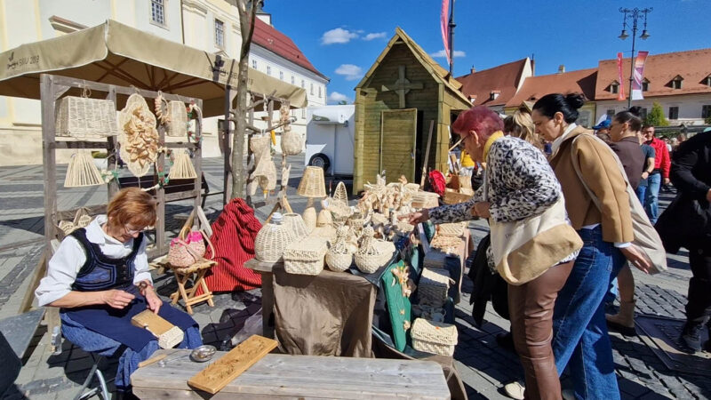 Julianna Balint-arta împletitului de pănuși | FOTO julianna